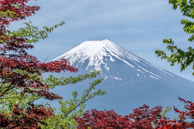 東京